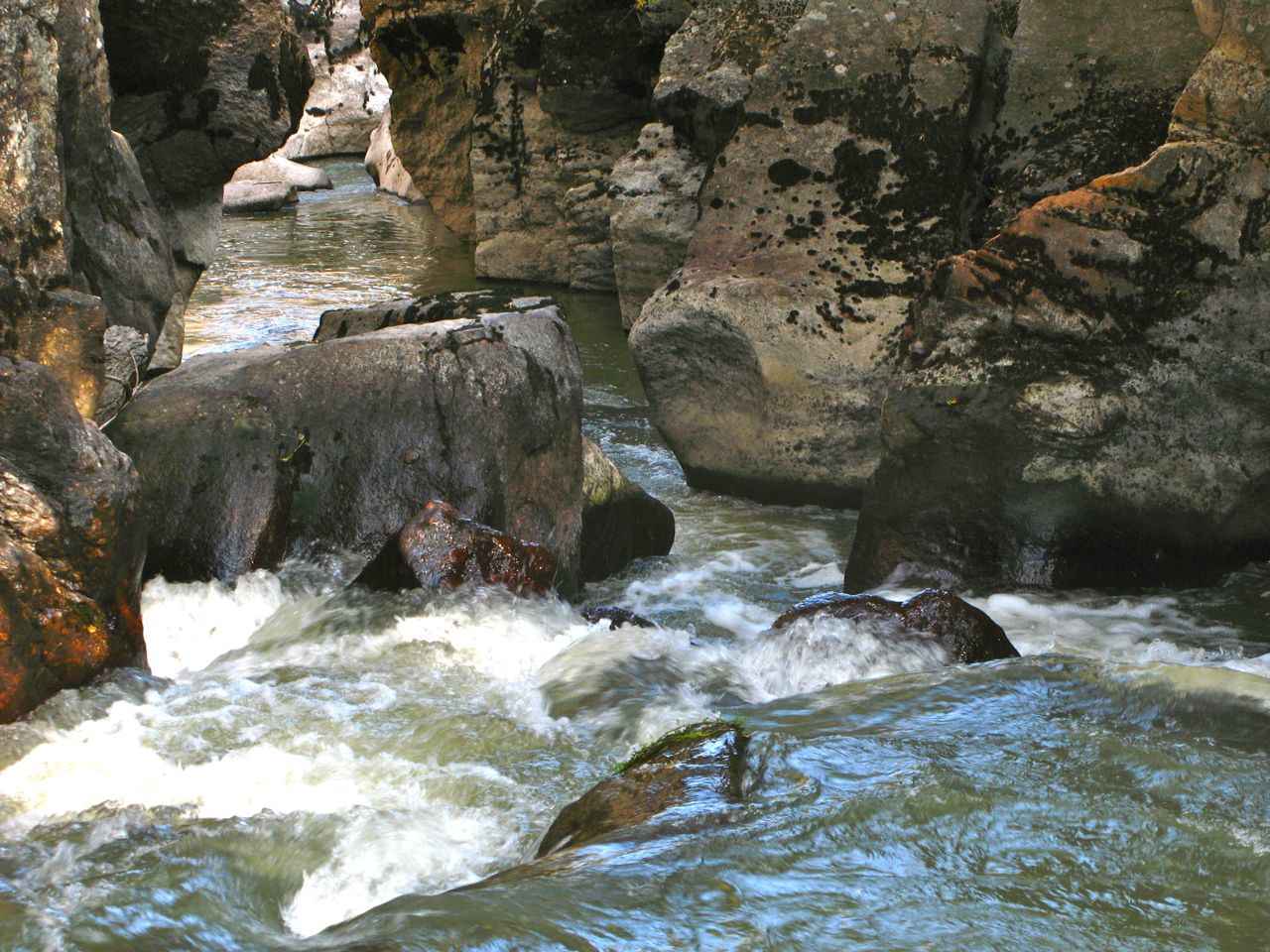 Rápidos del río Lozoya