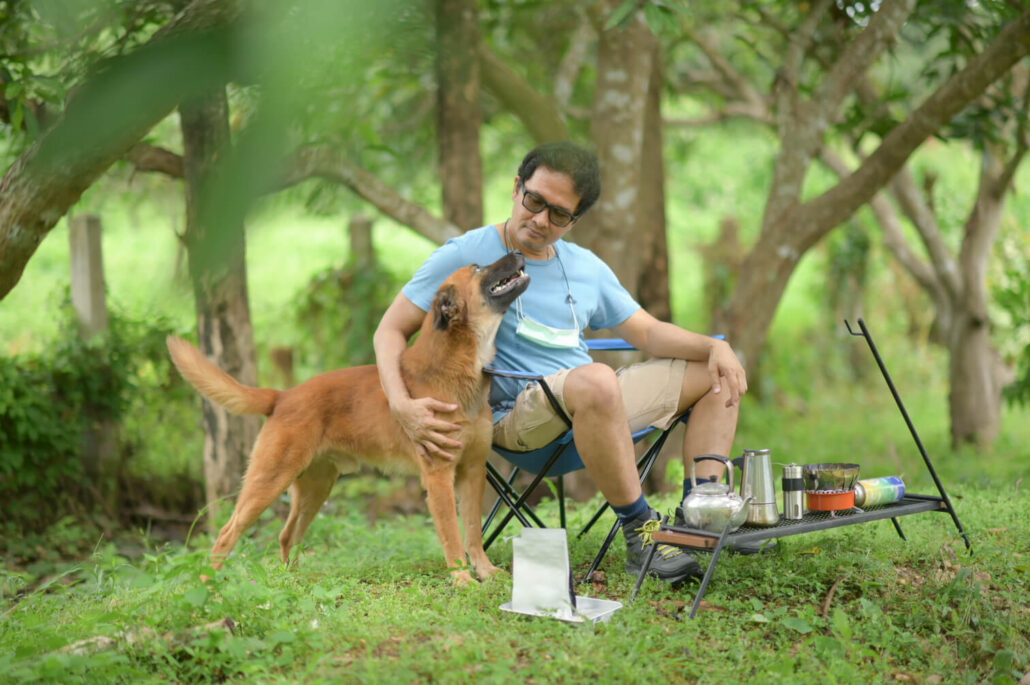 ir de camping con mascotas