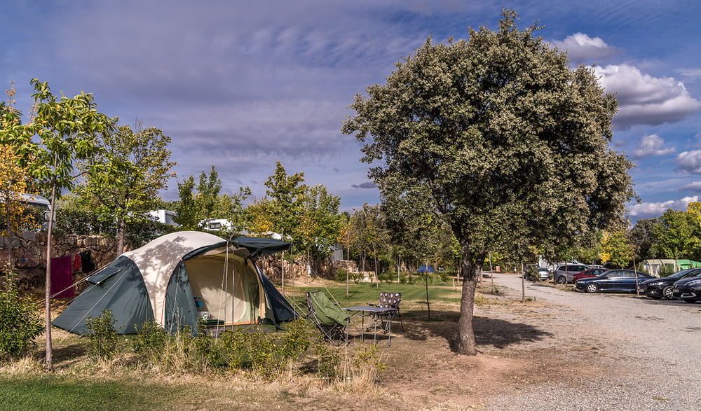 Camping para principiantes