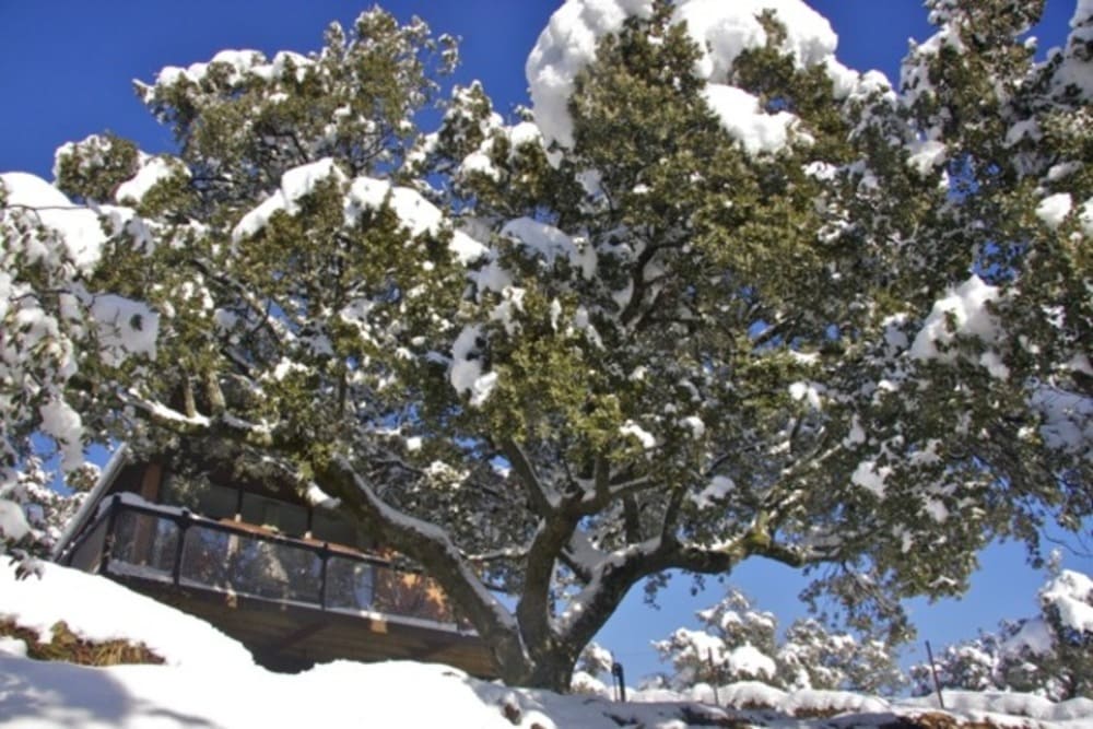 Nieve en nuestro camping en la Sierra de Madrid 